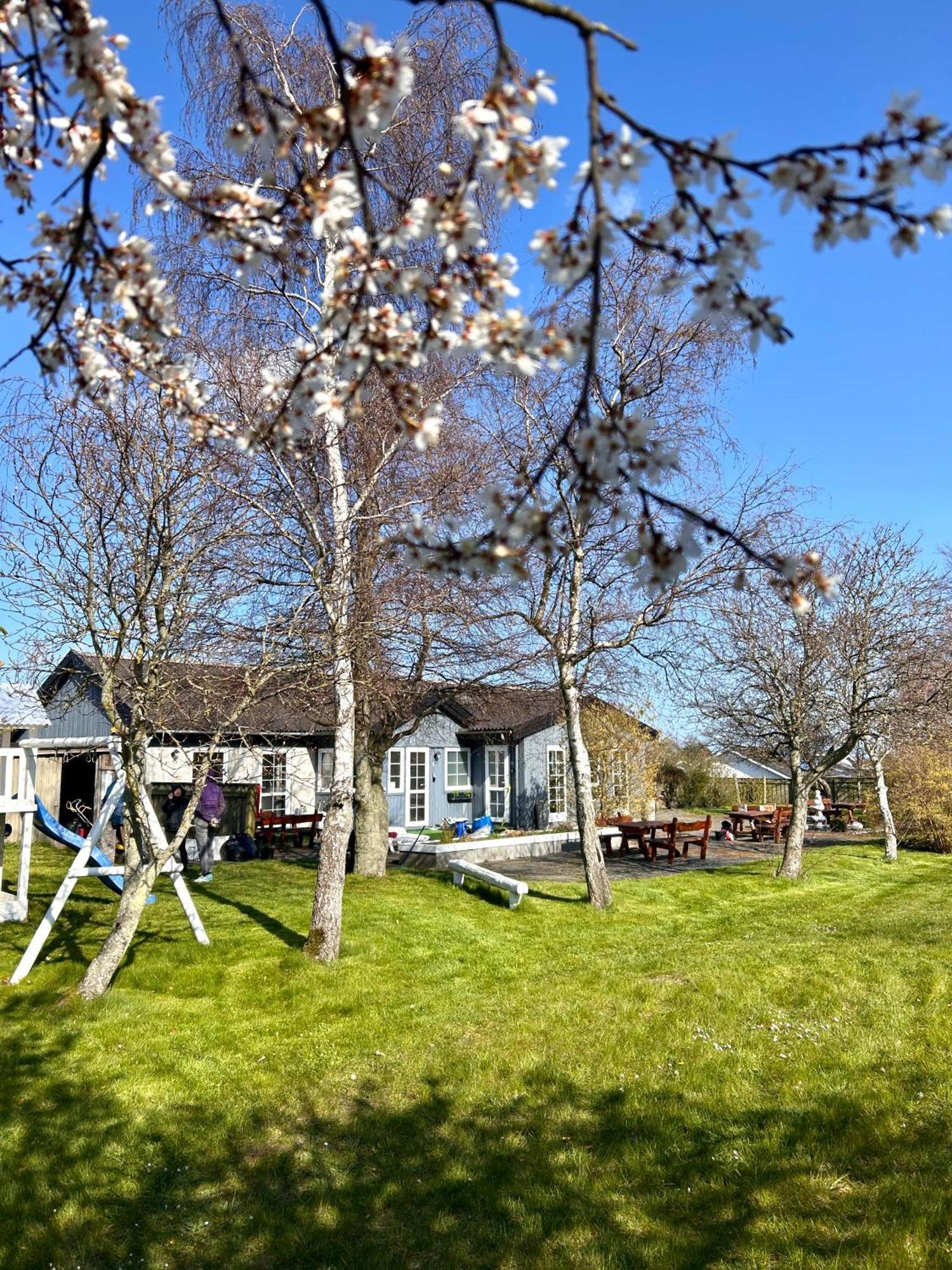 Apartamenty Neksø Exterior foto